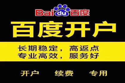 高效SEM托管服务：成功案例深度解析